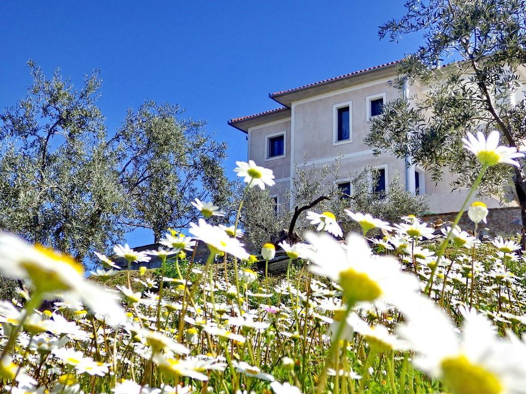 Villa Duchess Pteleos Exterior photo